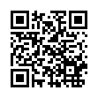 QR:正字戏